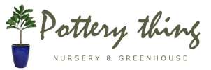 Pottery Thing