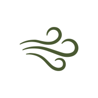 Iconos página_Mesa de trabajo 1 copia 3